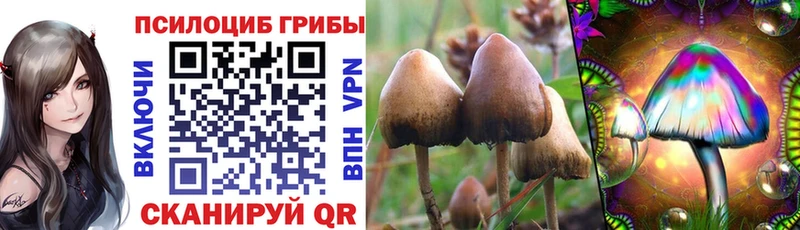 Псилоцибиновые грибы MAGIC MUSHROOMS  купить наркоту  blacksprut вход  Кохма 