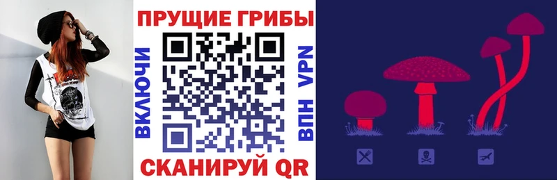 Галлюциногенные грибы прущие грибы Кохма